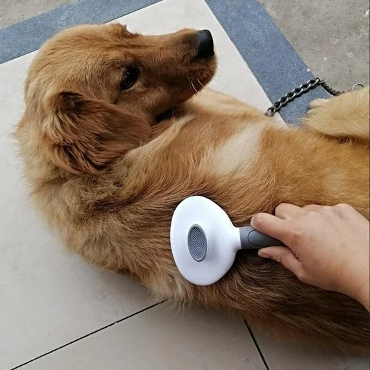 cleaning pet dog hair brush massage