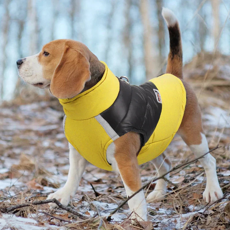 waterproof dog jacket winter warm dog clothes