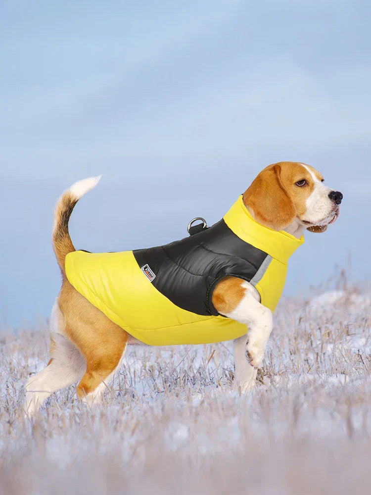 waterproof dog jacket winter warm dog clothes