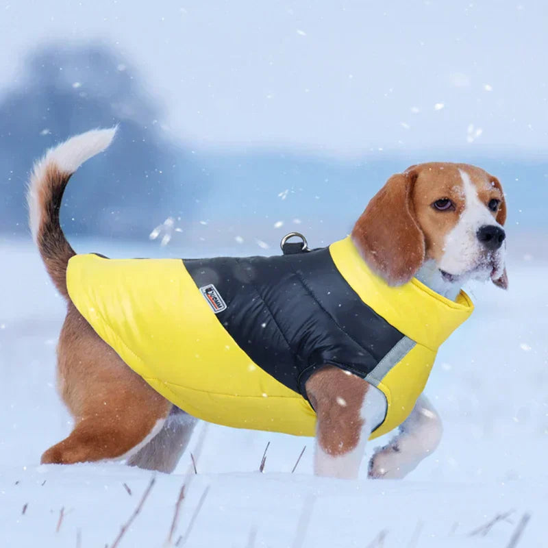 waterproof dog jacket winter warm dog clothes