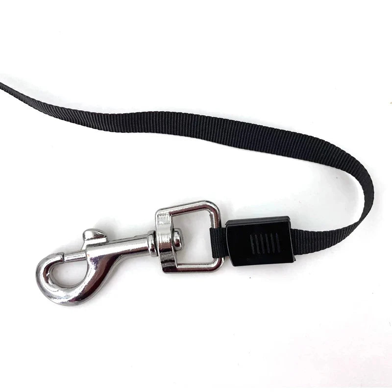 night walksheavy-duty dog leash